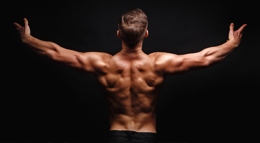 Muscular Endurance: Training for Stamina and Strength