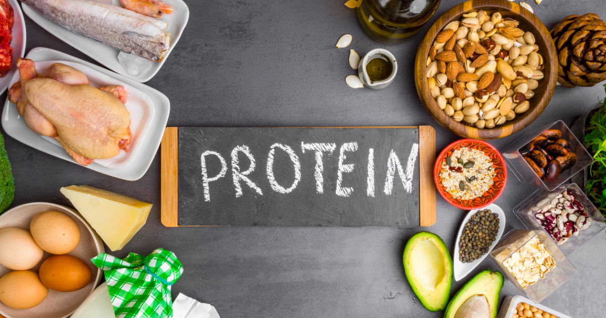 The Importance of Protein for Muscle Growth