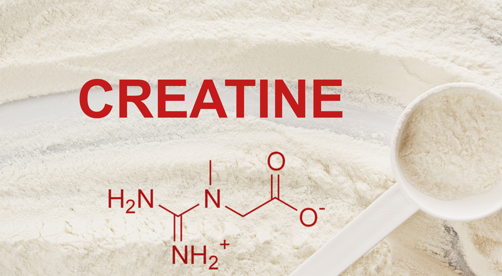 Science Speaks: Creatine HCI Vs. Monohydrate