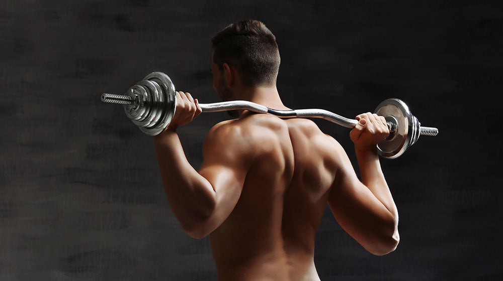 The 5 Best Back Exercises For Optimal Muscle Growth